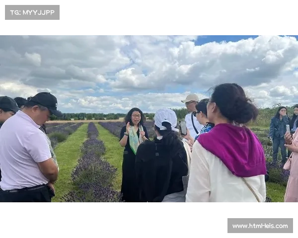 珠海以赛事为桥梁吸引港澳参与共绘多元文化融合新篇章