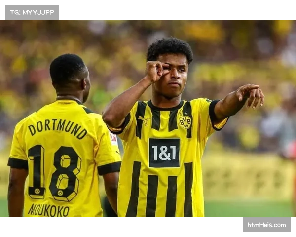 官方：多特蒙德前锋阿德耶米肌肉拉伤，赛季报销